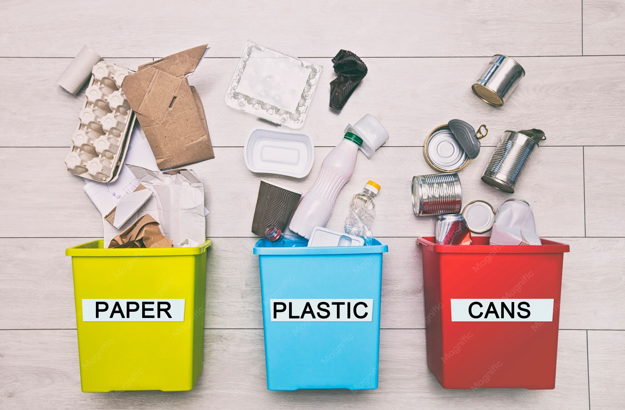 Waste Segregation